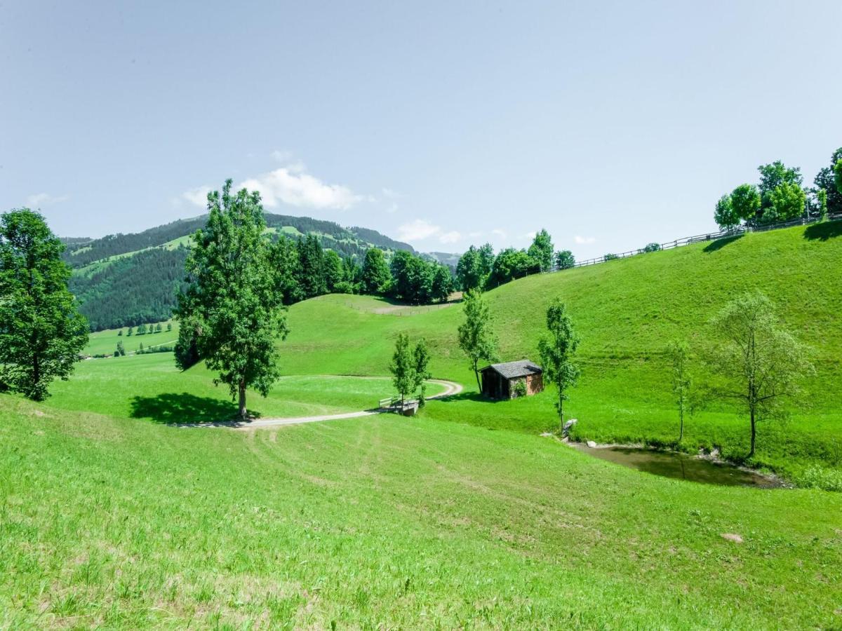 Cosy Flat In Westendorf In Tyrol Holzham Buitenkant foto